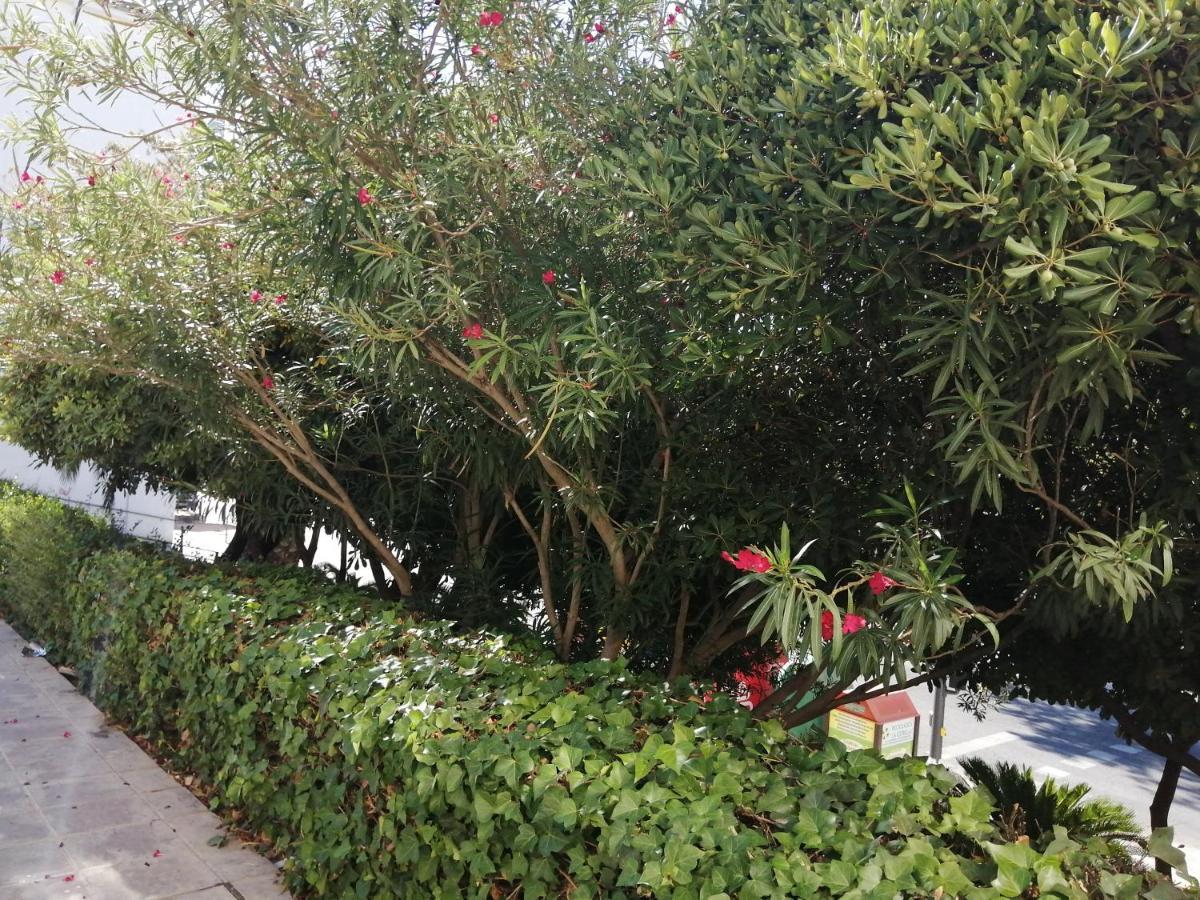 Apartamento Alcazaba Appartement Úbeda Buitenkant foto